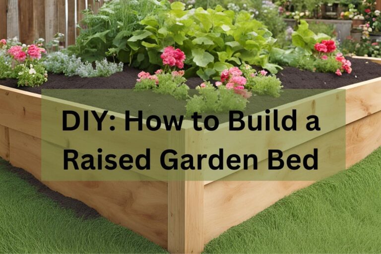 DIY: How to Build a Raised Garden Bed